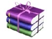 WinRAR 3.80: Pack-Software in neuer Version