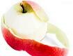 Verkehrte Netzwelt: </Apple>