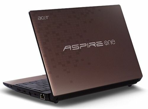 acer acer