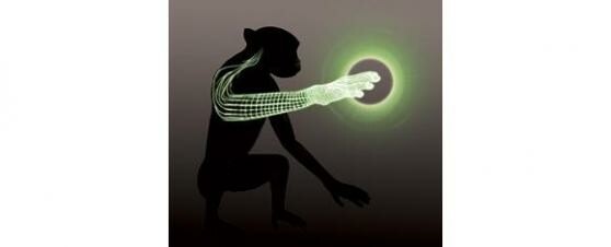 Affen konnten in einem Experiment einen virtuellen Arm mit ihren Gedanken steuern. (Bild: Katie Zhuang) Affen konnten in einem Experiment einen virtuellen Arm mit ihren Gedanken steuern. (Bild: Katie Zhuang)