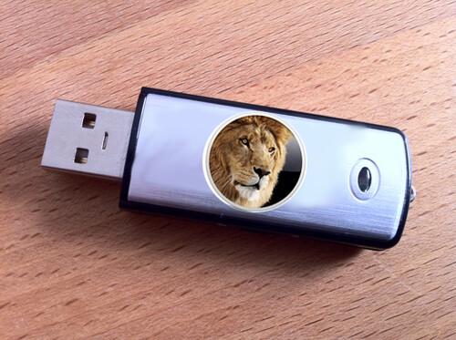 Lion USB Lion USB