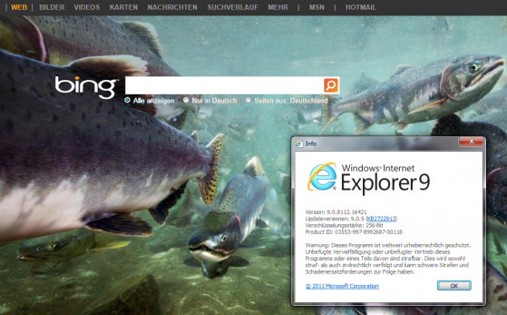 Das BSI warnt vor massiven Sicherheitslücken im Internet Explorer 6 bis 9. (Bild: Screenshot IE 9) Das BSI warnt vor massiven Sicherheitslücken im Internet Explorer 6 bis 9. (Bild: Screenshot IE 9)