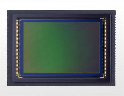 Der CMOS-Sensor der Canon EOS 5D Mark II. (Bild: Canon) Der CMOS-Sensor der Canon EOS 5D Mark II. (Bild: Canon)
