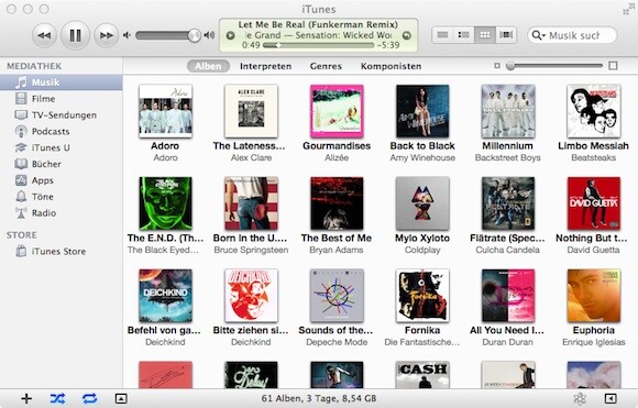 iTunes 10.6 bietet dem Nutzer eine Vielzahl an Einstellungen. (Bild: netzwelt) iTunes 10.6 bietet dem Nutzer eine Vielzahl an Einstellungen. (Bild: netzwelt)
