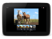iPad-Konkurrent: Google präsentiert Nexus 10