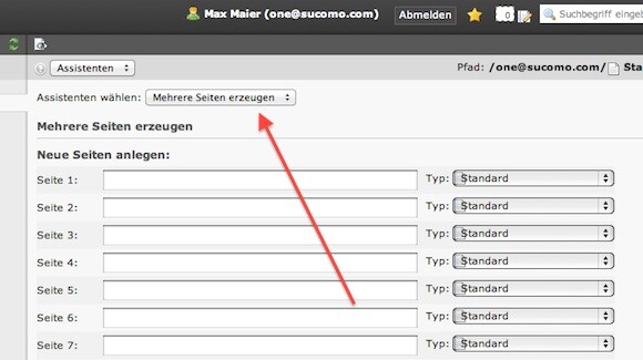 Für die Verwaltung mehrerer Webseiten sind viele Einzelseiten nötig. (Bild: netzwelt) Für die Verwaltung mehrerer Webseiten sind viele Einzelseiten nötig. (Bild: netzwelt)