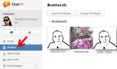 Bild 10: Buddies ansehen. (Bild: Screenshot) Bild 10: Buddies ansehen. (Bild: Screenshot)