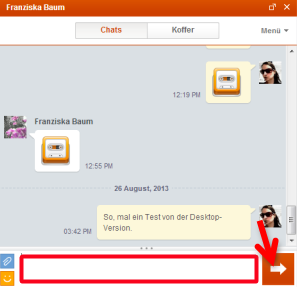 Bild 4: Chatten am PC. (Bild: Screenshot) Bild 4: Chatten am PC. (Bild: Screenshot)