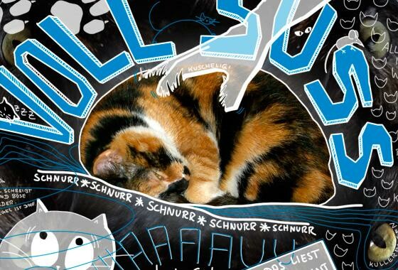 Voll Süüüß! Katzen im Internet. (Bild: netzwelt) Voll Süüüß! Katzen im Internet. (Bild: netzwelt)