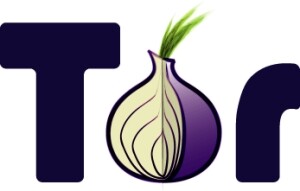 Tor Logo