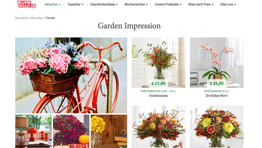Blume 2000-Onlineshop im Test.