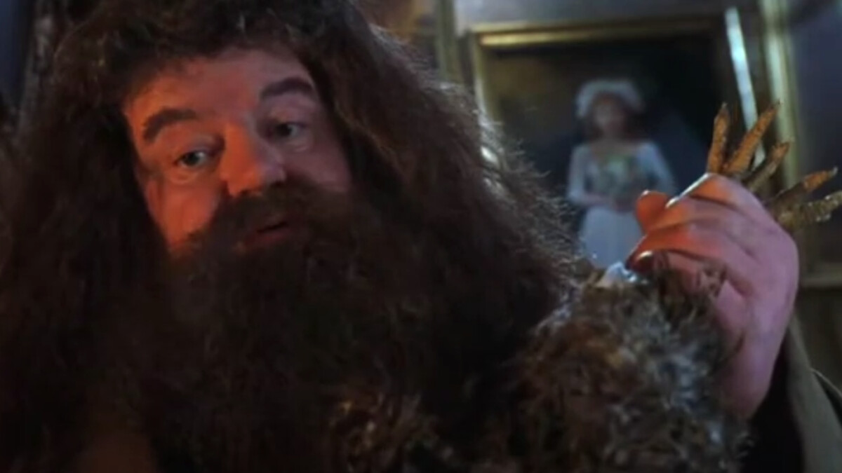 Harry Potter and the Kammer des Schreckens: In der Extended Edition Hagrid is with one of the things he sees.