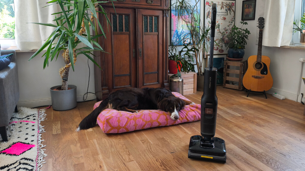 Hunde tragen mit ihren Matschpfoten reichlich Schmutz ins Haus - und Kinder stehen dem in nichts nach. Im Test meisterte der Roborock F25 Ultra jede dieser Verunreinigungen problemlos