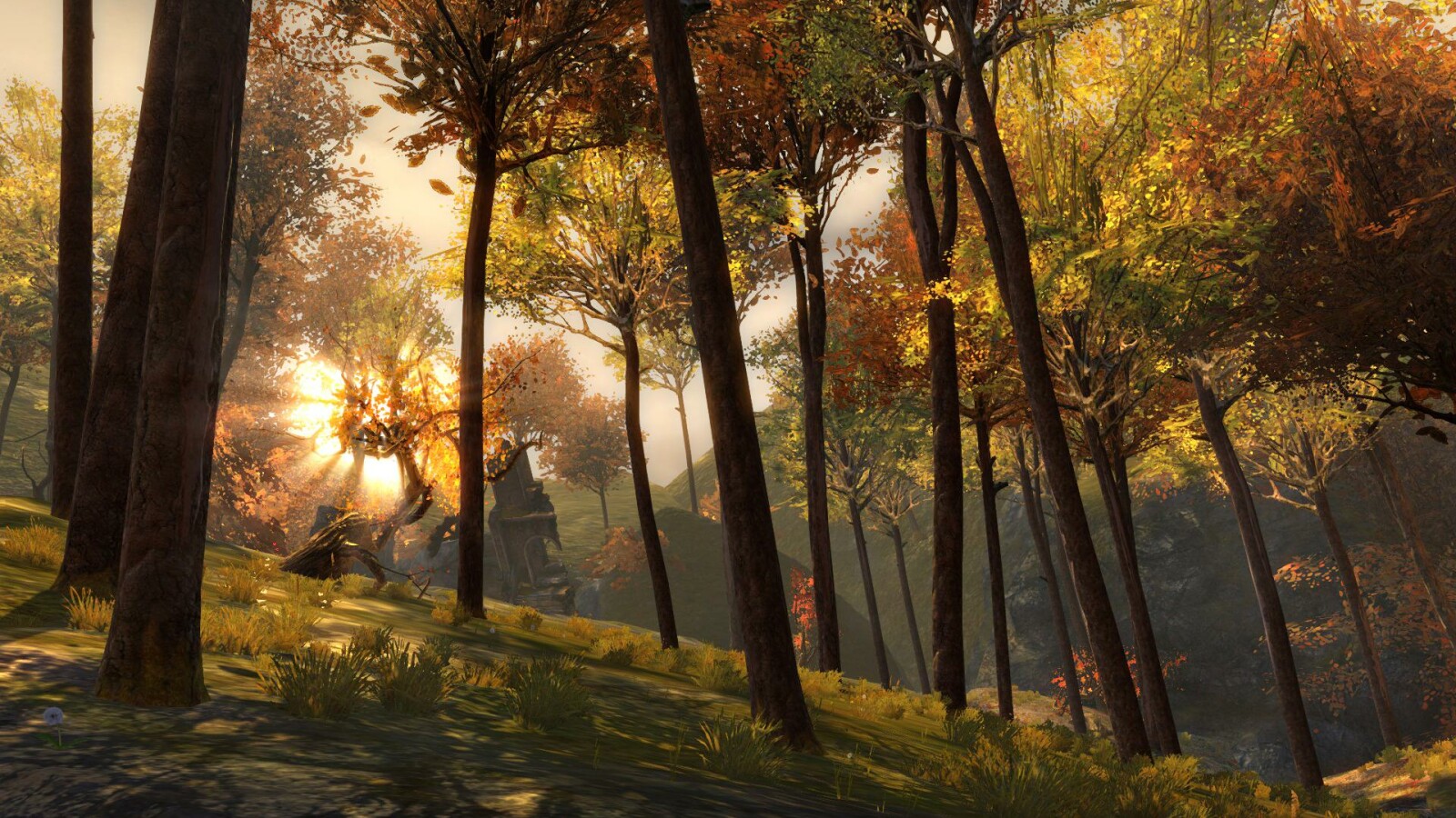 Wald bei der Black Citadel. (Bild: NCsoft)