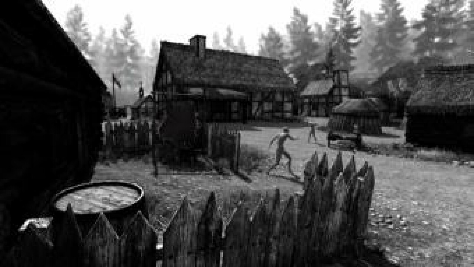 Betrayer: Bild 10 (Bild: Blackpowder Games)