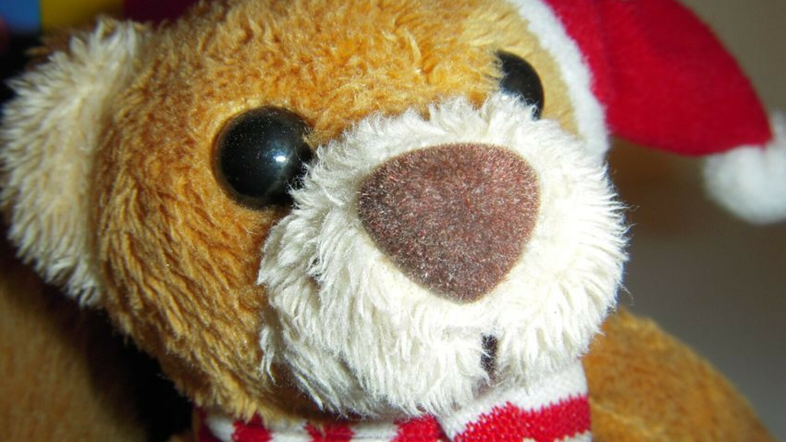 Nahaufnahme: ISO 100, Blende 6.9, Belichtungszeit 1/30 Sekunde, Blitz ein, 3456 x 2592 Pixel