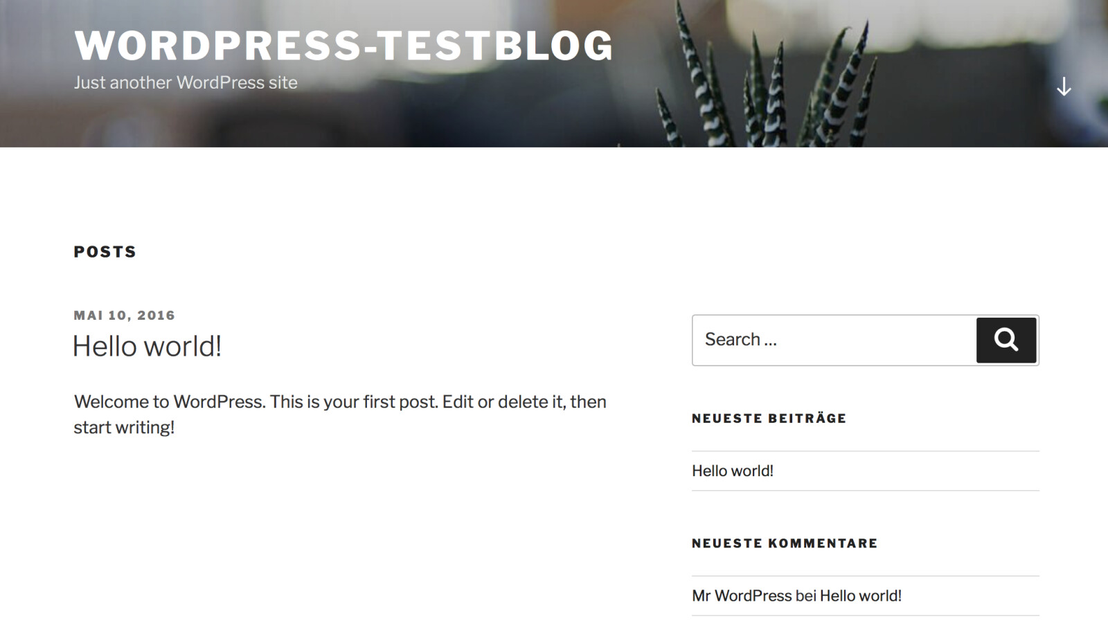 Wordpress ist schnell aufgesetzt. Wer nur Wordpress betreiben will, kann zum Wordpress-Tarif greifen.