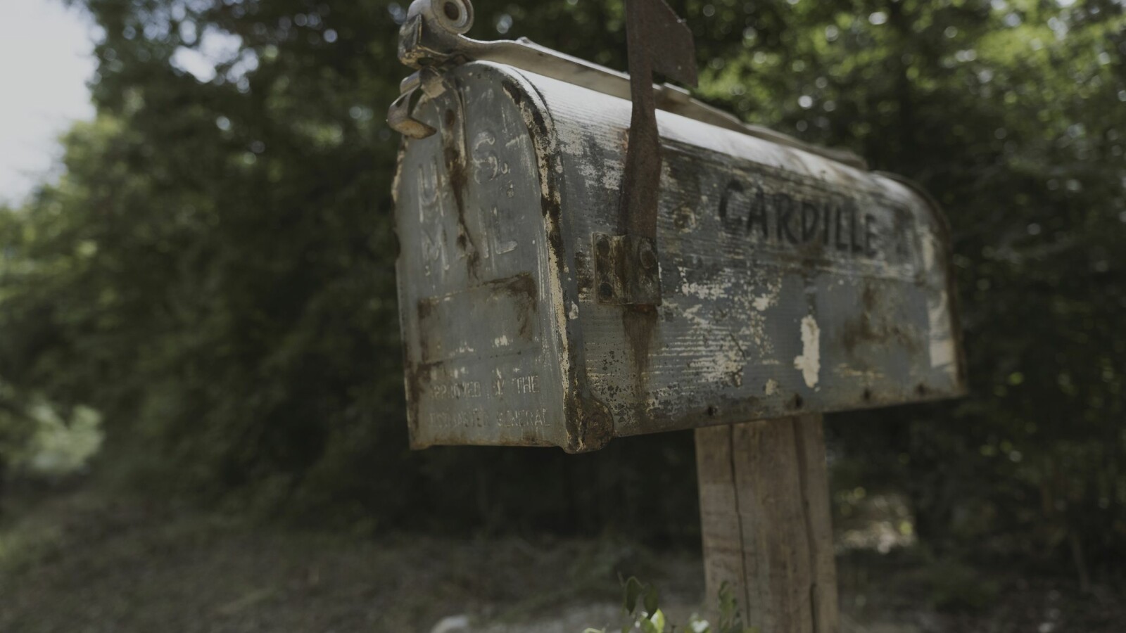 The Walking Dead - Staffel 9: Gibt es Post für Familie Cardille?