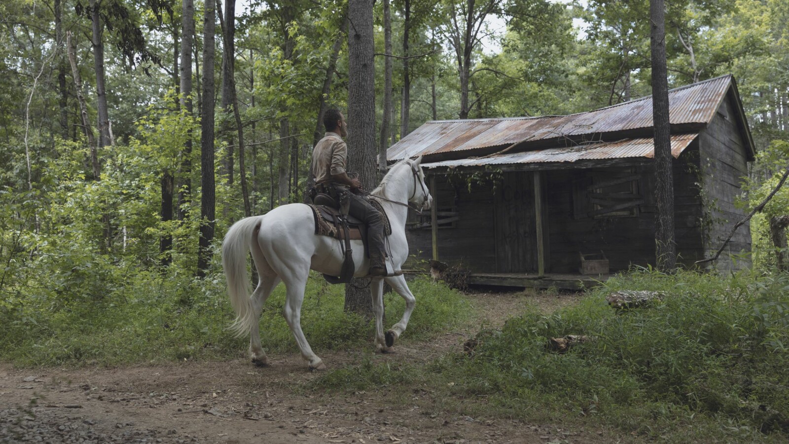 The Walking Dead - Staffel 9: Rick entdeckt eine Hütte im Wald.