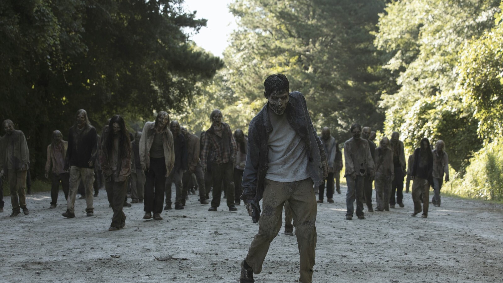 The Walking Dead - Staffel 9: Die Streuner kommen immer näher.