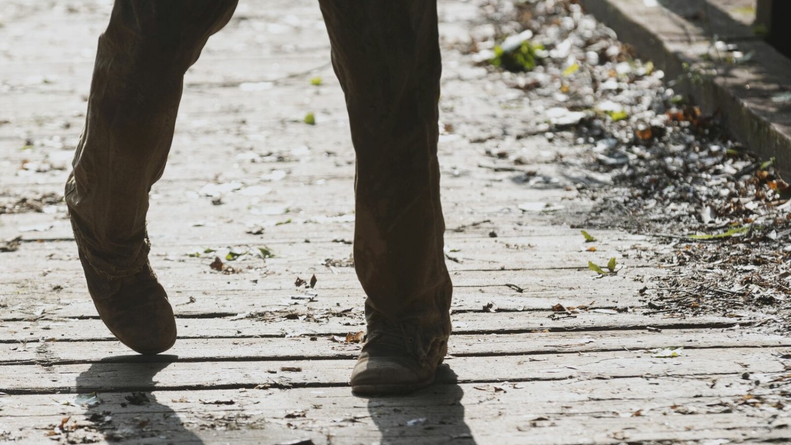 The Walking Dead - Staffel 9: Die Zombies sind los.