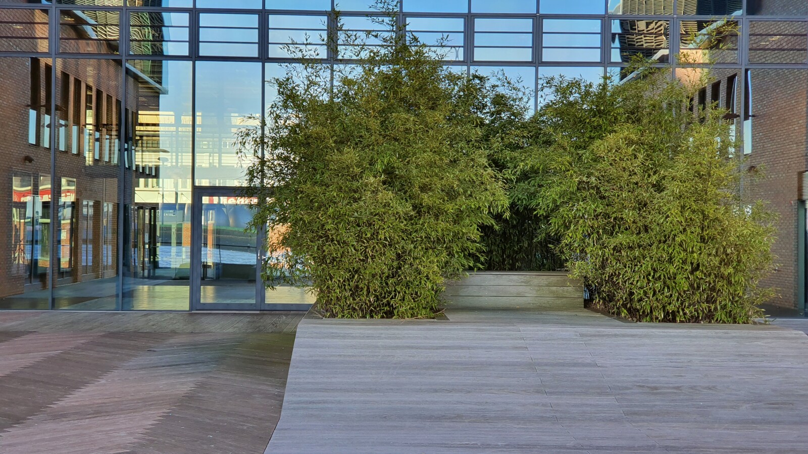 Galaxy S10 Kamera-Sample 6: Telezoom