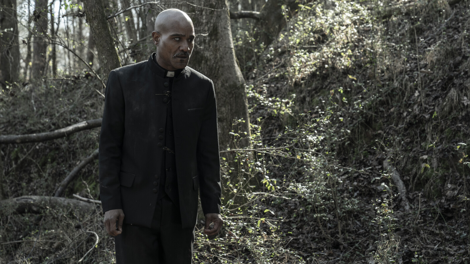 The Walking Dead - Staffel 11: Vater Gabriel