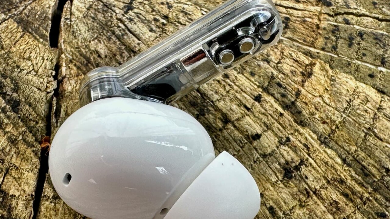 ... fest. Wirklich durchsichtig sind ...