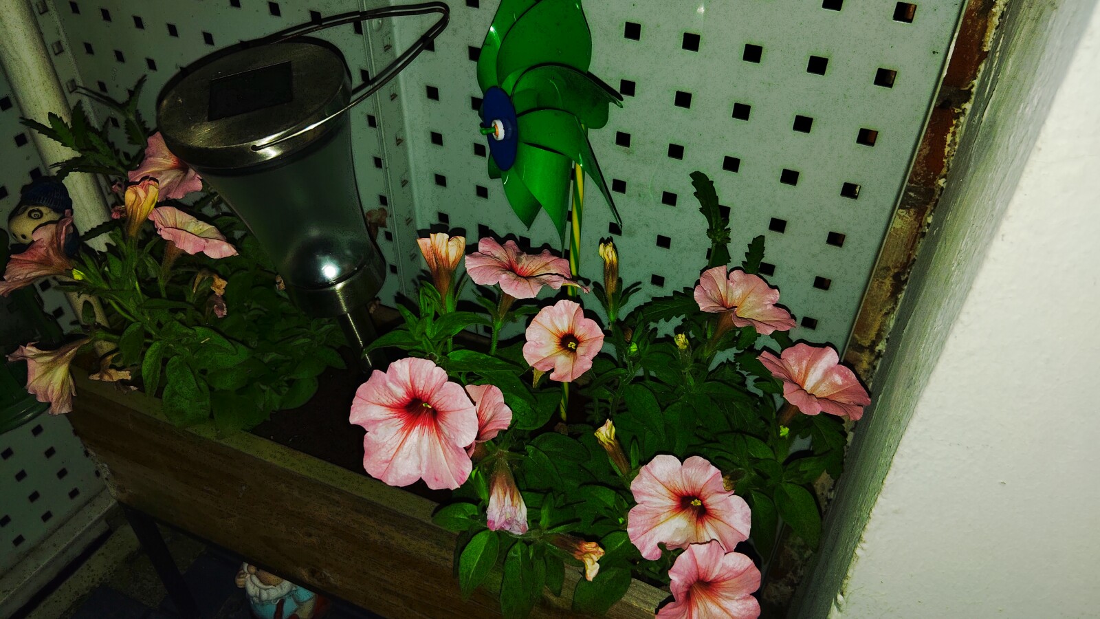 Auch mit Foto-LED werden die Aufnahmen bei Dunkelheit nicht besser.