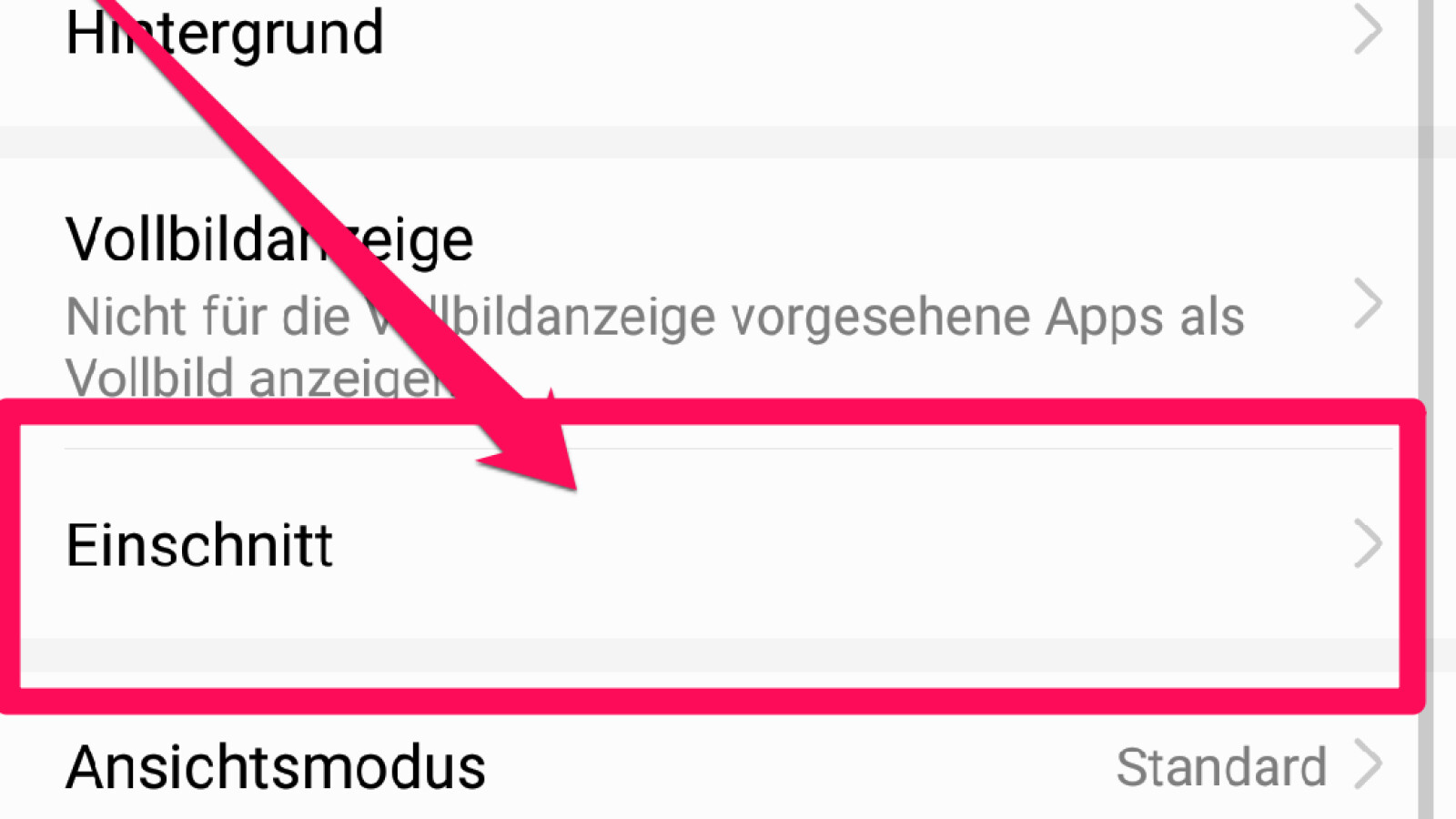 Nun tippt ihr auf den Menüpunkt "Einschnitt".