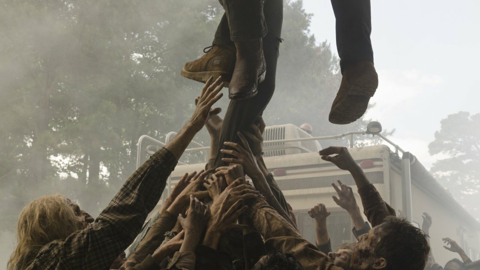 vor den Beißern in Sicherheit bringen.