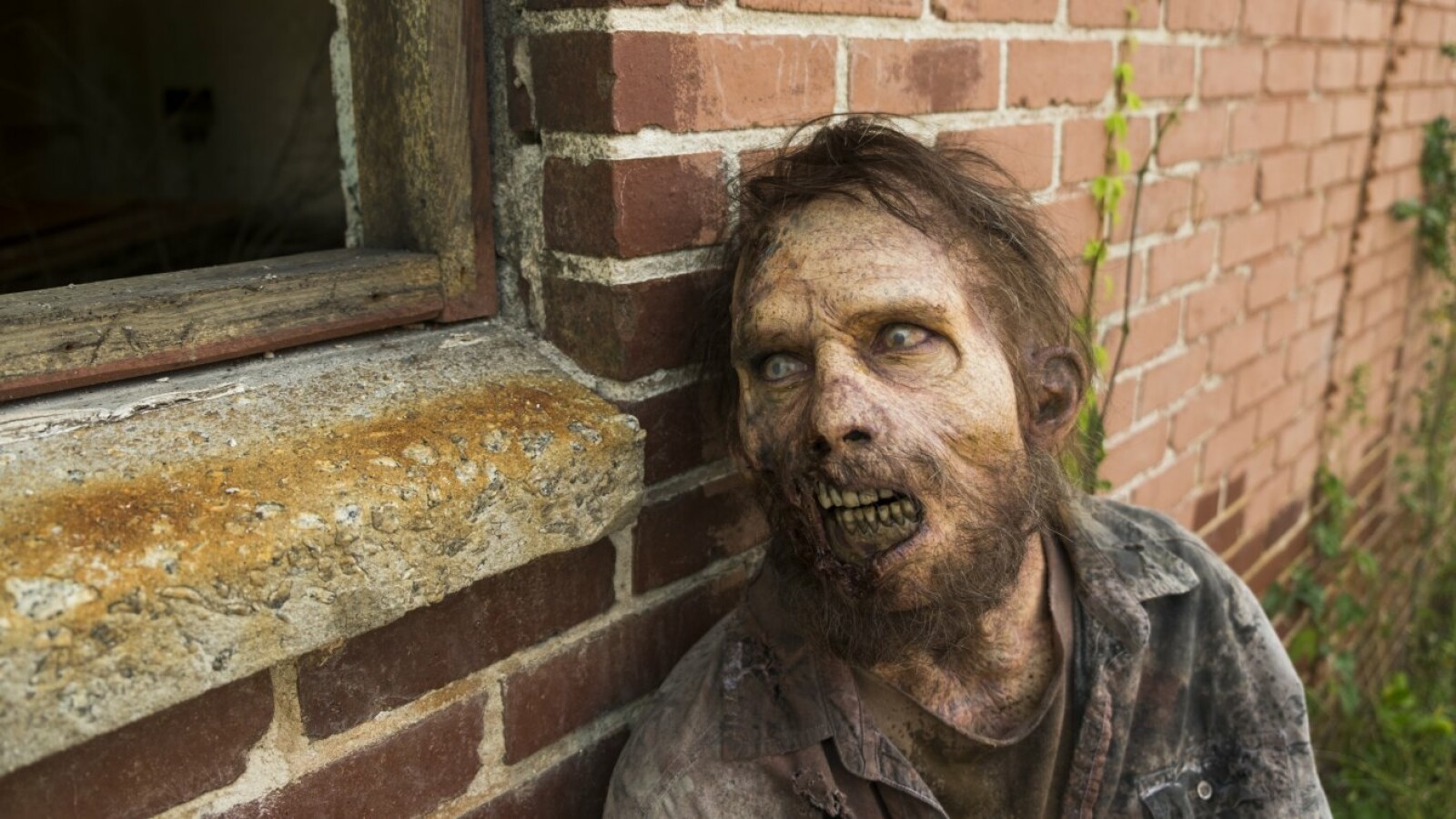 Wen beobachtet dieser Beißer?