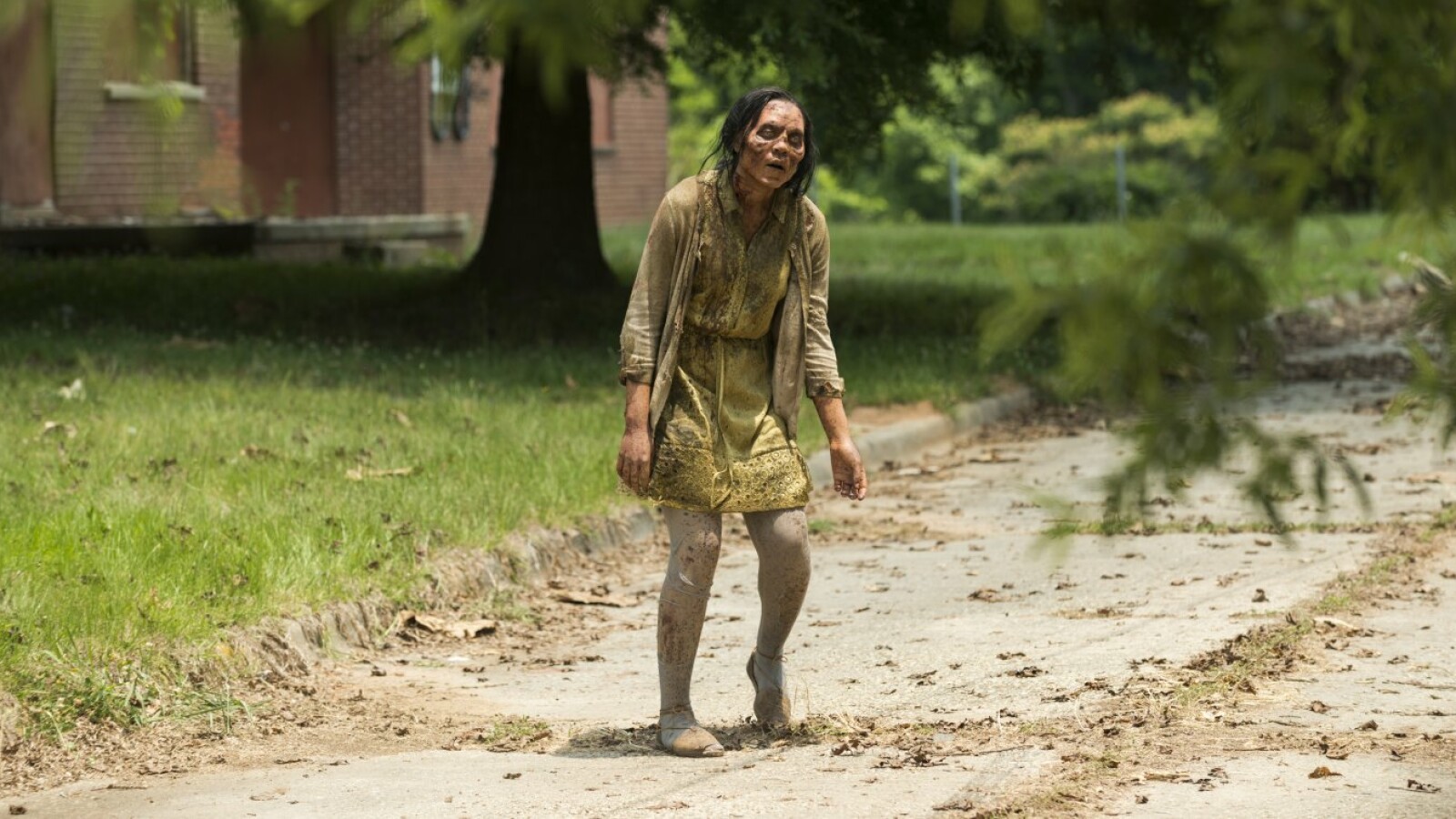 Der Weg ins Kingdom ist mit Beißern gefüllt.