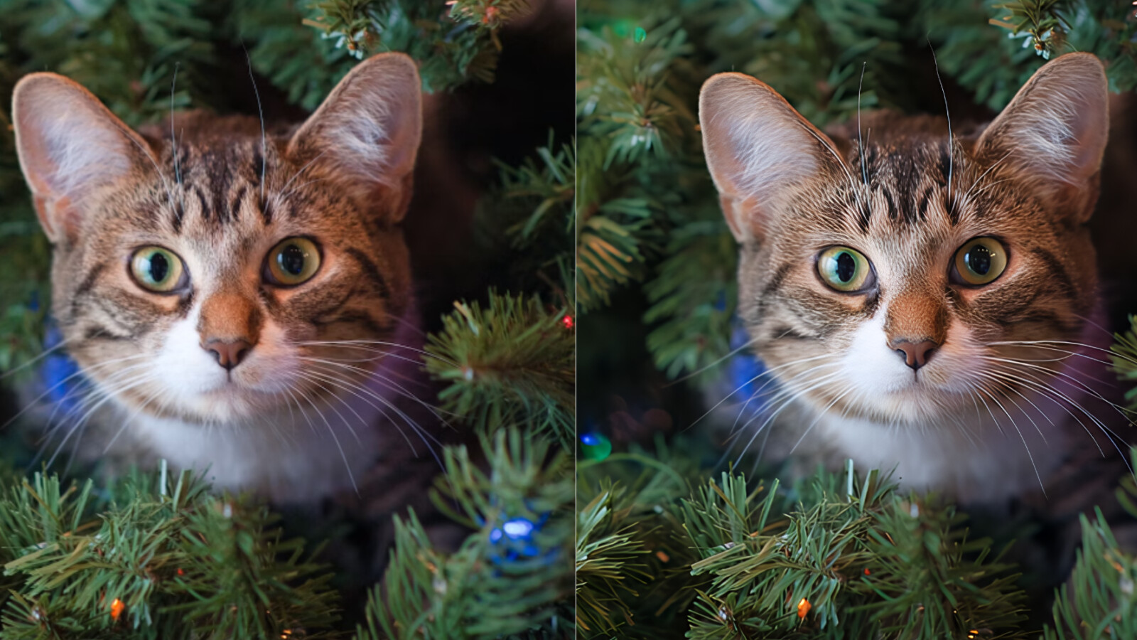 In der Vorschau bei VideoProc Converter AI sind schon starke Ergebnisse erkennbar.