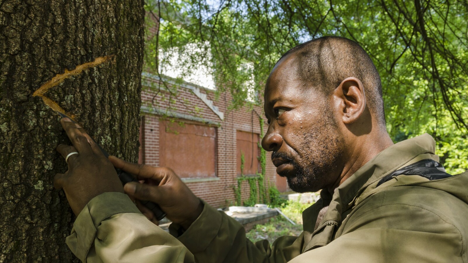 Morgan markiert den Weg zurück nach Alexandria.