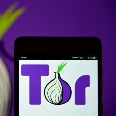 Sicher und anonym surfen mit Tor: Was der Tor-Browser ist und wie ihr ihn nutzt