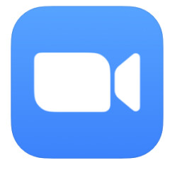 Download zoom here