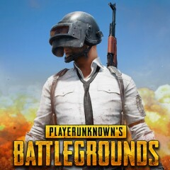 Playerunknown's Battlegrounds: Probleme und viele Lösungen für PUBG