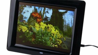 Jobo Curve 8 im Test