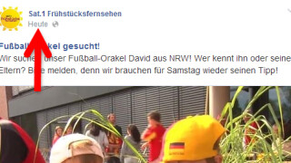 Videos auf Facebook mit dem FVD Downloader herunterladen