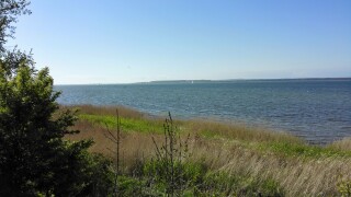 Mate 7 - Beispielaufnahmen