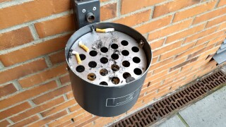 Kamera-Samples Moto G5 Plus