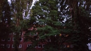 Samsung Galaxy A6+ (2018): Kamera-Samples