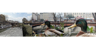 Huawei P30 Pro: Kamera-Samples