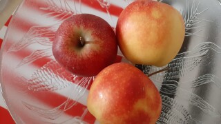 Samsung Galaxy A50: Kamera-Samples