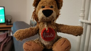 Huawei P30: Kamera-Samples