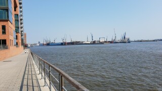 Motorola One Action: Kamera-Fotos