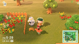 Tipps und Tricks für Animal Crossing New Horizons