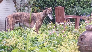 Oukitel WP19 Testbilder der Kameras