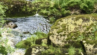 Huawei Pura 70 Ultra: Kamera-Samples